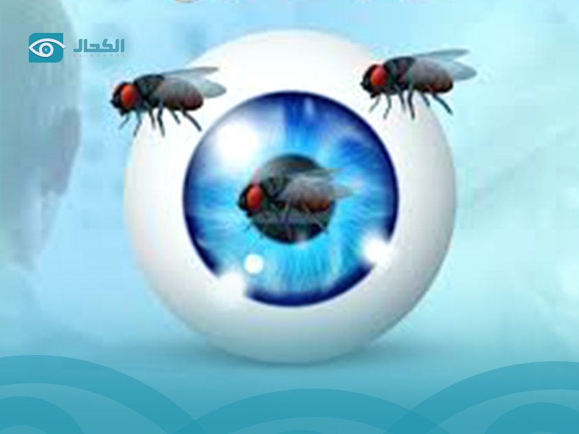 ذبابة-العين