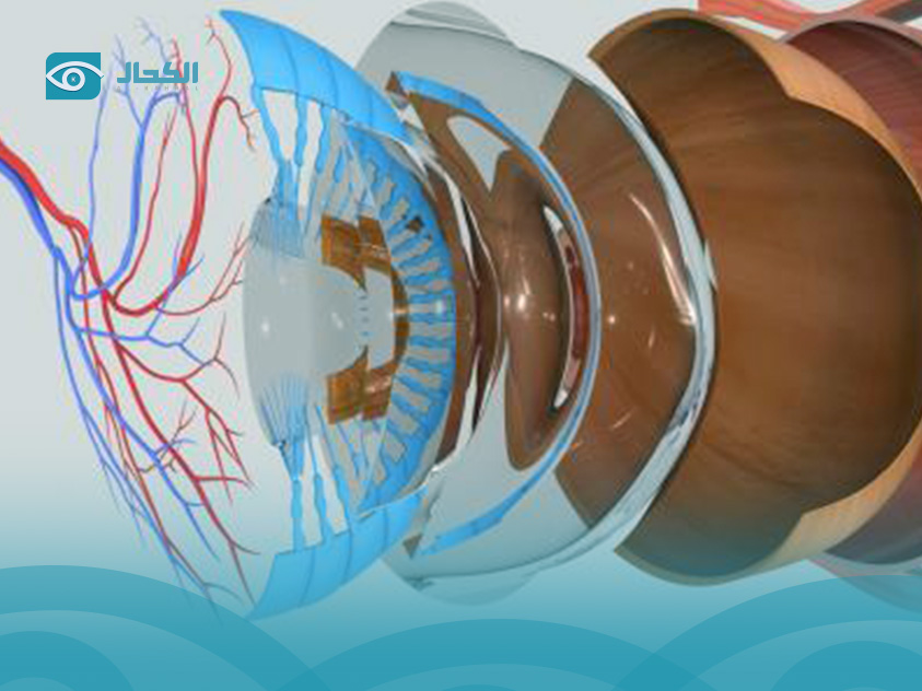 أسباب-تمزق-شبكية-العين